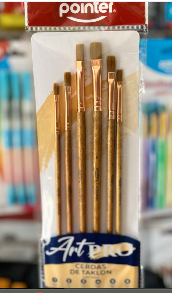 POINTER SET PINCEL 6PC